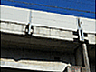 摜